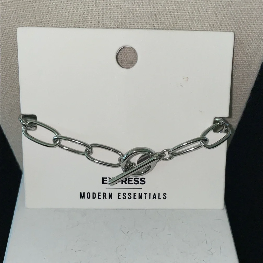 EXPRESS Silvertone Link, toggle clasp bracelet